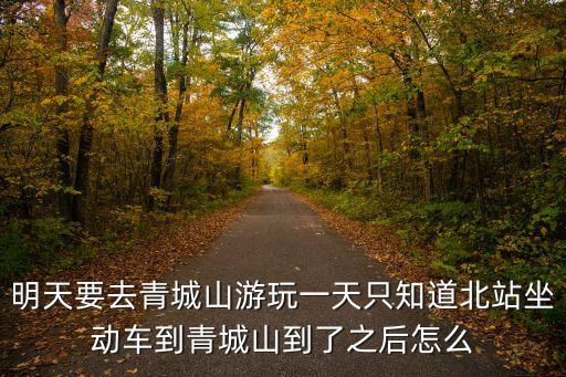 明天要去青城山游玩一天只知道北站坐動車到青城山到了之后怎么