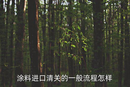 涂料進口清關(guān)的一般流程怎樣