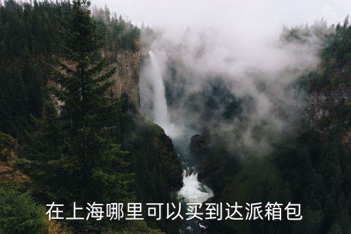 在上海哪里可以買到達派箱包