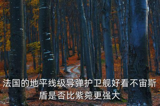 法國的地平線級導彈護衛艦好看不宙斯盾是否比紫菀更強大