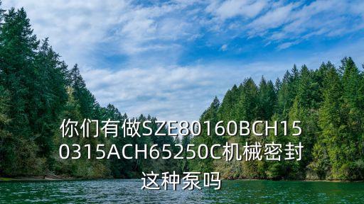 你們有做SZE80160BCH150315ACH65250C機(jī)械密封這種泵嗎