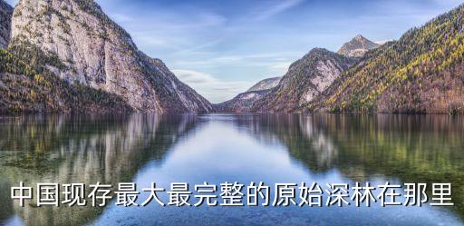 廣州原始森林視頻，中國現存最大最完整的原始深林在那里