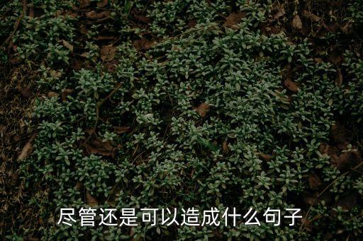 盡管還是造句，盡管還是可以造成什么句子