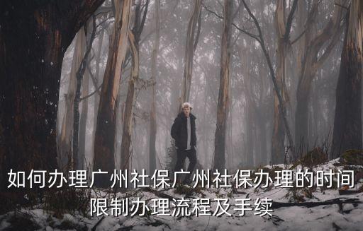 如何辦理廣州社保廣州社保辦理的時間限制辦理流程及手續(xù)