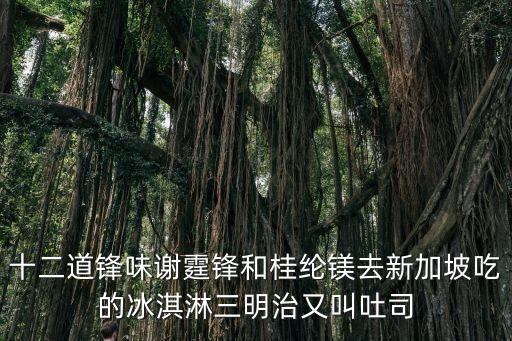 廣州最好三明治，十二道鋒味謝霆鋒和桂綸鎂去新加坡吃的冰淇淋三明治又叫吐司