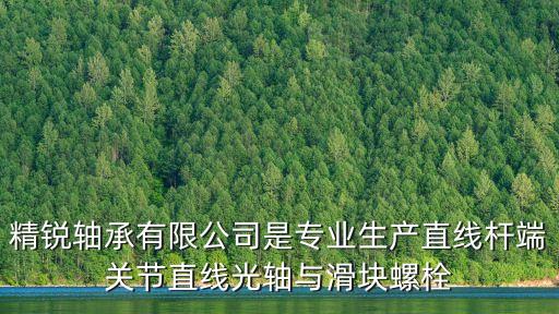 精銳軸承有限公司是專業生產直線桿端關節直線光軸與滑塊螺栓