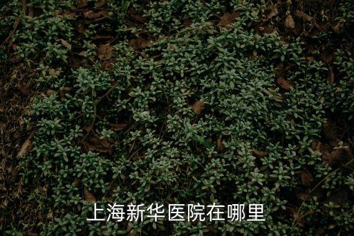 上海新華醫院在哪里