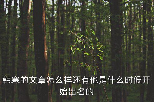 韓寒的文章怎么樣還有他是什么時候開始出名的