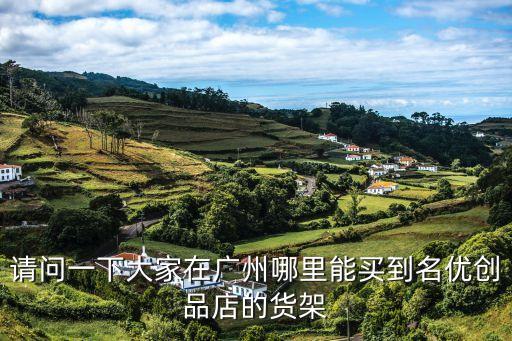 請問一下大家在廣州哪里能買到名優創品店的貨架