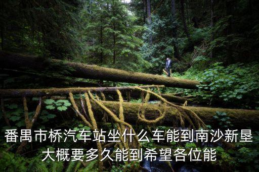番禺市橋汽車(chē)站坐什么車(chē)能到南沙新墾大概要多久能到希望各位能