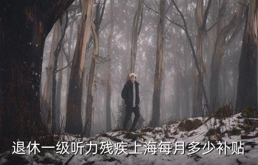 退休一級聽力殘疾上海每月多少補貼