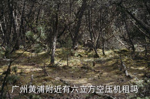 廣州黃浦附近有六立方空壓機租嗎