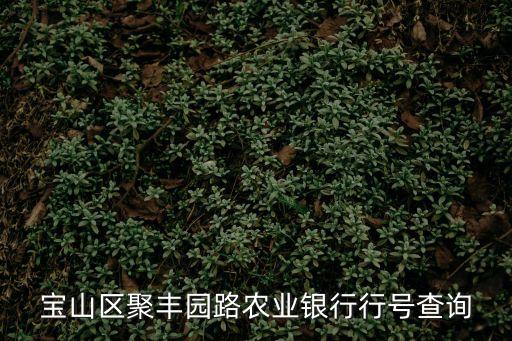 寶山區聚豐園路農業銀行行號查詢