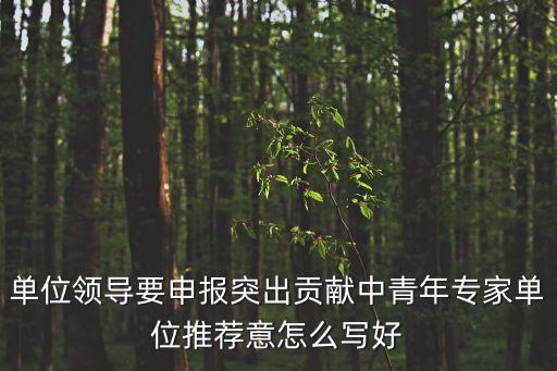 單位領(lǐng)導要申報突出貢獻中青年專家單位推薦意怎么寫好