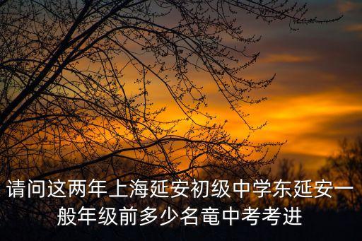請問這兩年上海延安初級中學東延安一般年級前多少名竜中考考進