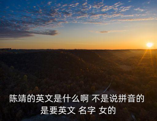上海市人大秘書長陳靖，陳靖是誰幾歲幾月幾號生日最喜歡什么東東除人以外