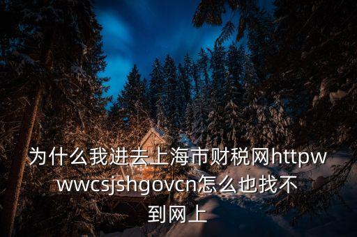 為什么我進去上海市財稅網httpwwwcsjshgovcn怎么也找不到網上