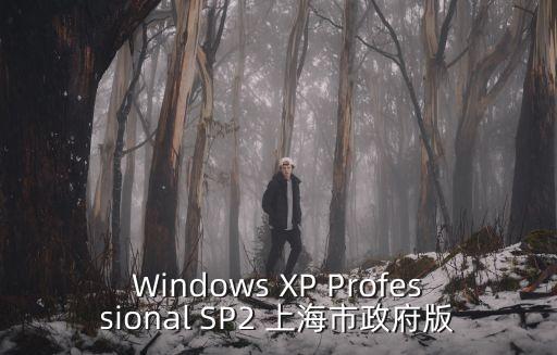上海市政模版庫安裝包，Windows XP Professional SP2 上海市政府版