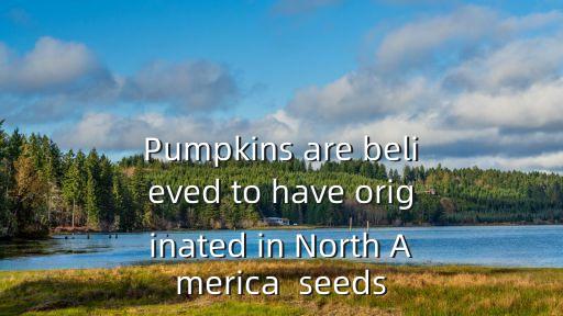 pumpkins，pumpkin可數還是不可數