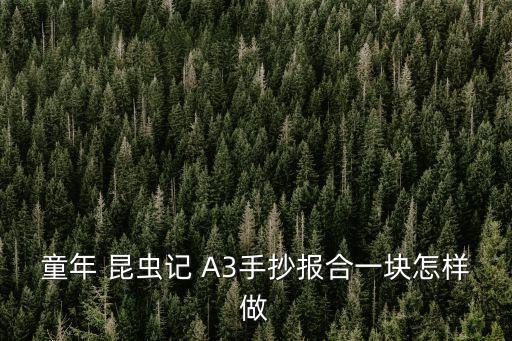 童年 昆蟲(chóng)記 A3手抄報(bào)合一塊怎樣做