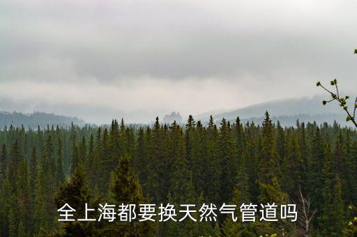 全上海都要換天然氣管道嗎
