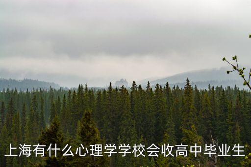 上海市中小學心理，上海心理學學校哪個好