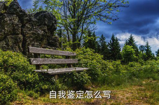 自我鑒定，個人自我鑒定怎么寫