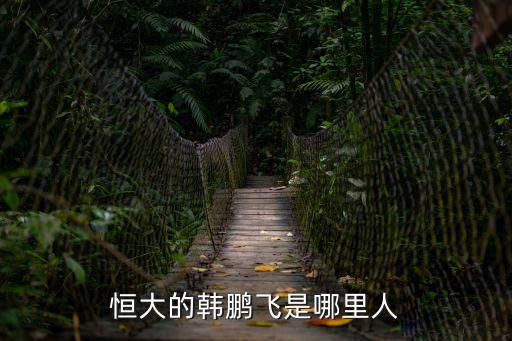 恒大的韓鵬飛是哪里人