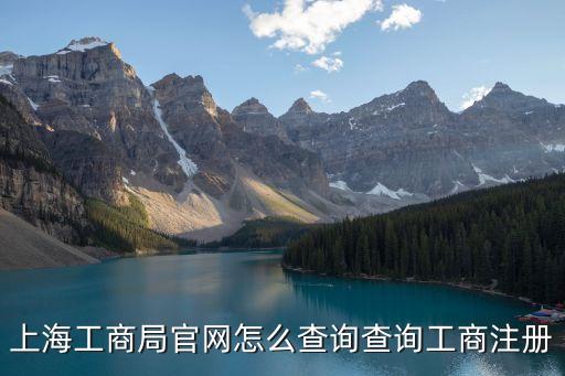 上海工商局官網怎么查詢查詢工商注冊