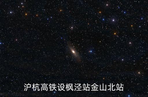 滬杭高鐵設楓涇站金山北站
