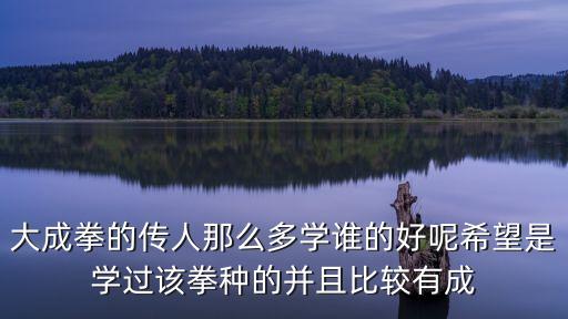 大成拳的傳人那么多學誰的好呢希望是學過該拳種的并且比較有成