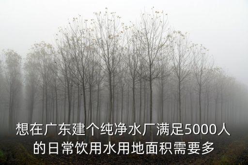 想在廣東建個純凈水廠滿足5000人的日常飲用水用地面積需要多