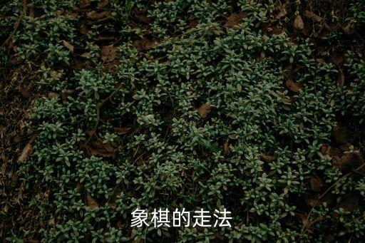象棋的走法