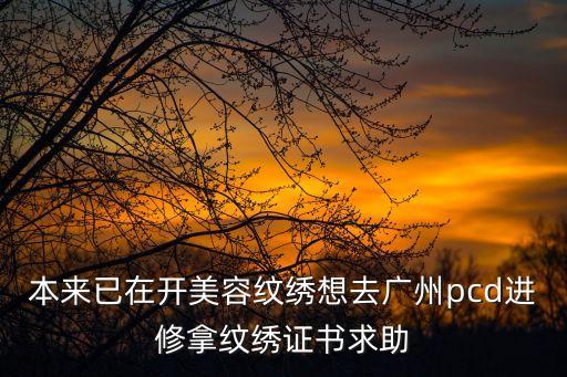 上海紋繡學習廣州領繡學校官網，領繡刺繡墻布電話是多少