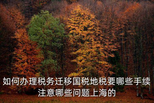 如何辦理稅務遷移國稅地稅要哪些手續注意哪些問題上海的