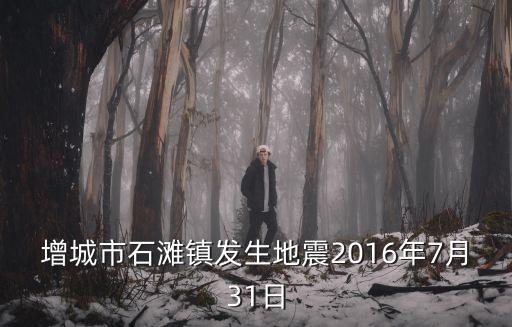 廣州增城發生地震監控，廣州增城市地震剛剛嚇我一跳有人知道嗎