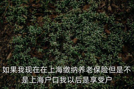 上海市養(yǎng)老驛站項(xiàng)目策劃書，上海 老年公寓