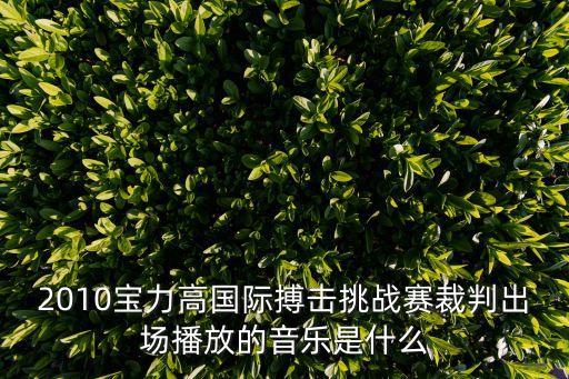 寶力高搏擊爭霸賽，2010寶力高國際搏擊挑戰賽裁判出場播放的音樂是什么