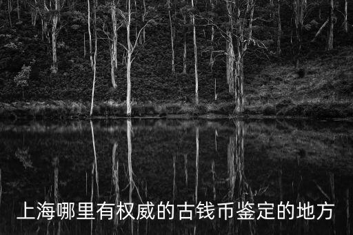 上海哪里有權威的古錢幣鑒定的地方
