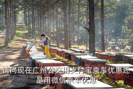 廣州公交車用哪個軟件支付，廣州BRT可以微信支付嗎