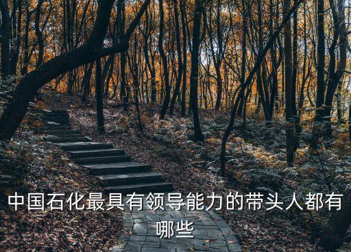 中國石化最具有領導能力的帶頭人都有哪些