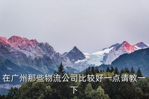 在廣州那些物流公司比較好一點(diǎn)請(qǐng)教一下