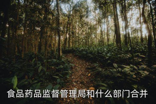 上海市食藥監(jiān)局現(xiàn)在合并，浦東食藥監(jiān)局位于何處