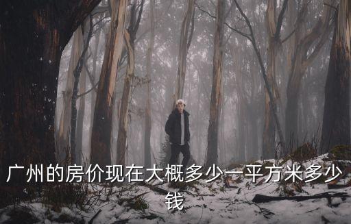 廣州的房價現在大概多少一平方米多少錢