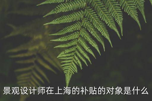 景觀設計師在上海的補貼的對象是什么