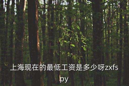 上海現在的最低工資是多少呀zxfspy