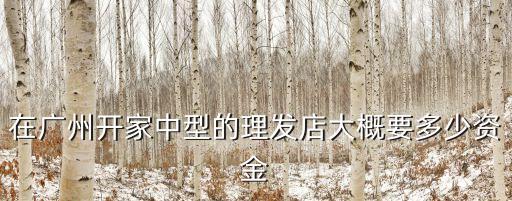 在廣州開一家小理發店多少錢，我想在廣州開一家美容美發店請問要投資多少錢