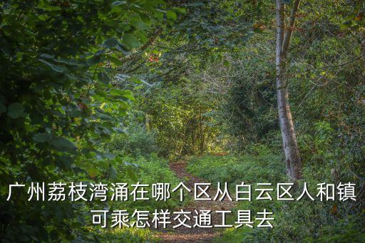 廣州荔枝灣大戲臺(tái)在哪個(gè)區(qū)，荔枝灣屬于哪個(gè)區(qū)