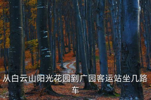 廣州白云區陽光花園坐幾路公交，從白云區石井鎮陽光花園做幾路車可以到黃沙