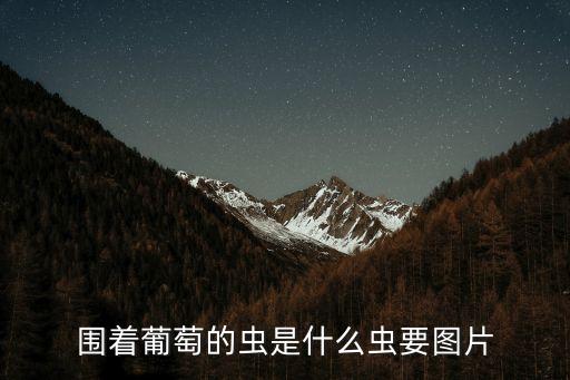 廣州水果蟲子圖片，廣州有什么常見的蟲子經常打擾人休息的那種